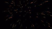 fireworks_07042009_069.jpg