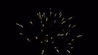 fireworks_07042009_090.jpg