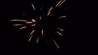fireworks_07042009_103.jpg