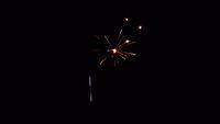 fireworks_07042009_105.jpg