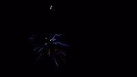 fireworks_07042009_123.jpg
