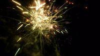 fireworks_07042009_133.jpg