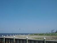 IMG_20120502_110016.jpg
