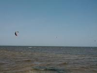 IMG_20120502_110022.jpg