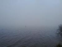 IMG_20120503_193113.jpg