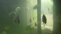P1040201.JPG