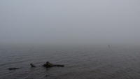 P1040453.JPG