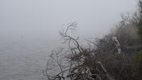 P1040467.JPG