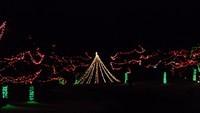 christmas_lights021.jpg