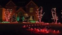 christmas_lights025.jpg