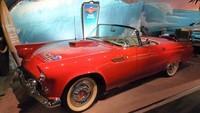 stars_cars097.jpg