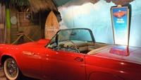 stars_cars099.jpg