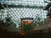 Navy Pier was one of the first places we went that weekend.